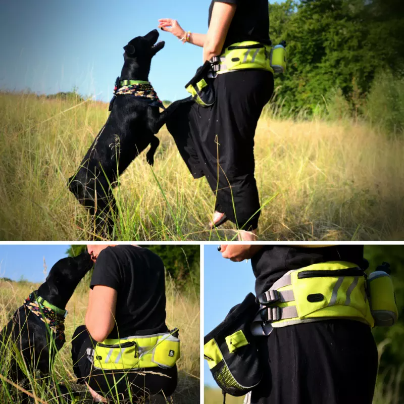 pas do biegania z psem Truelove Trek Go nerka bidon kieszenie odblaski regulacja