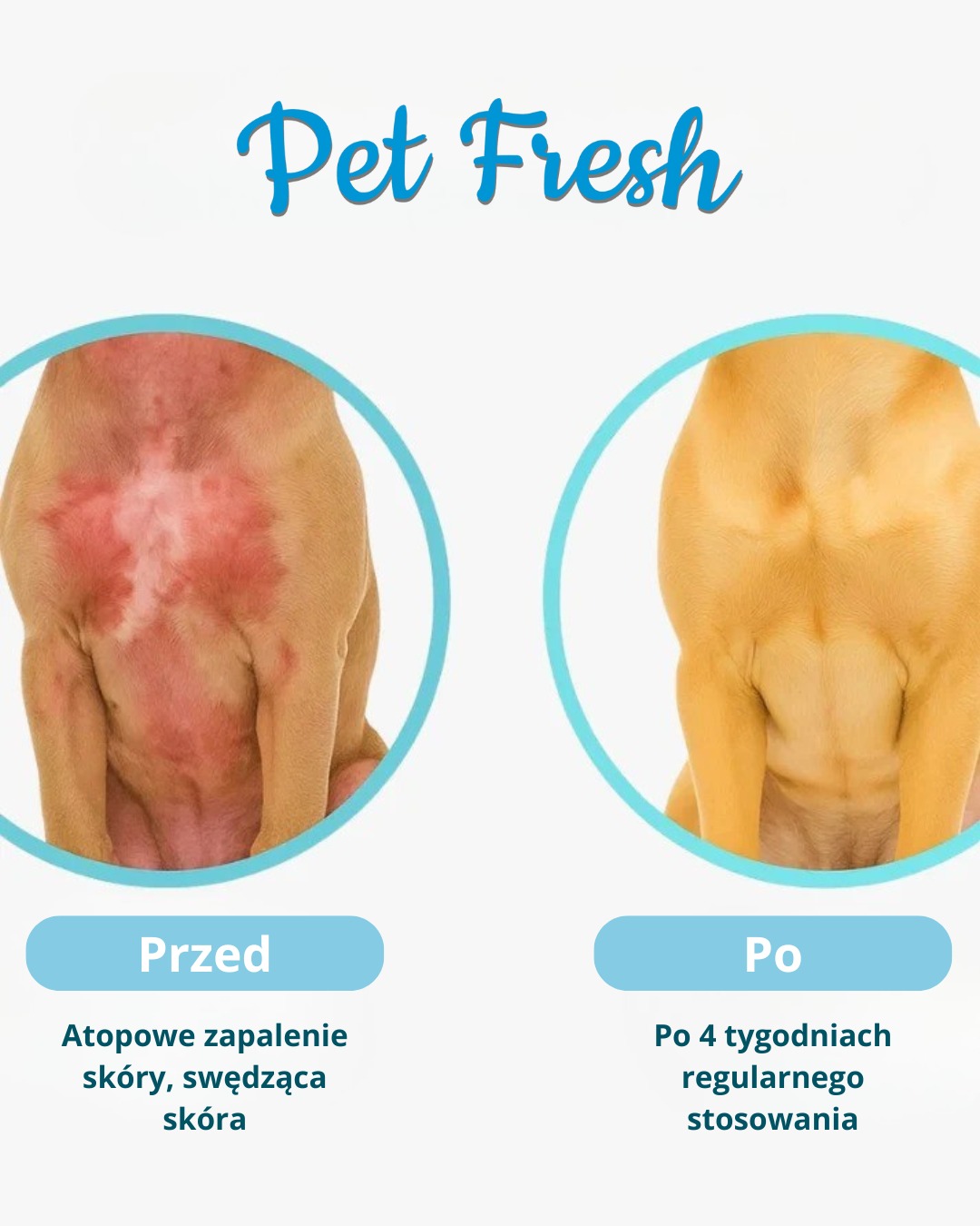 Efekty przed i po zastosowaniu PetFresh