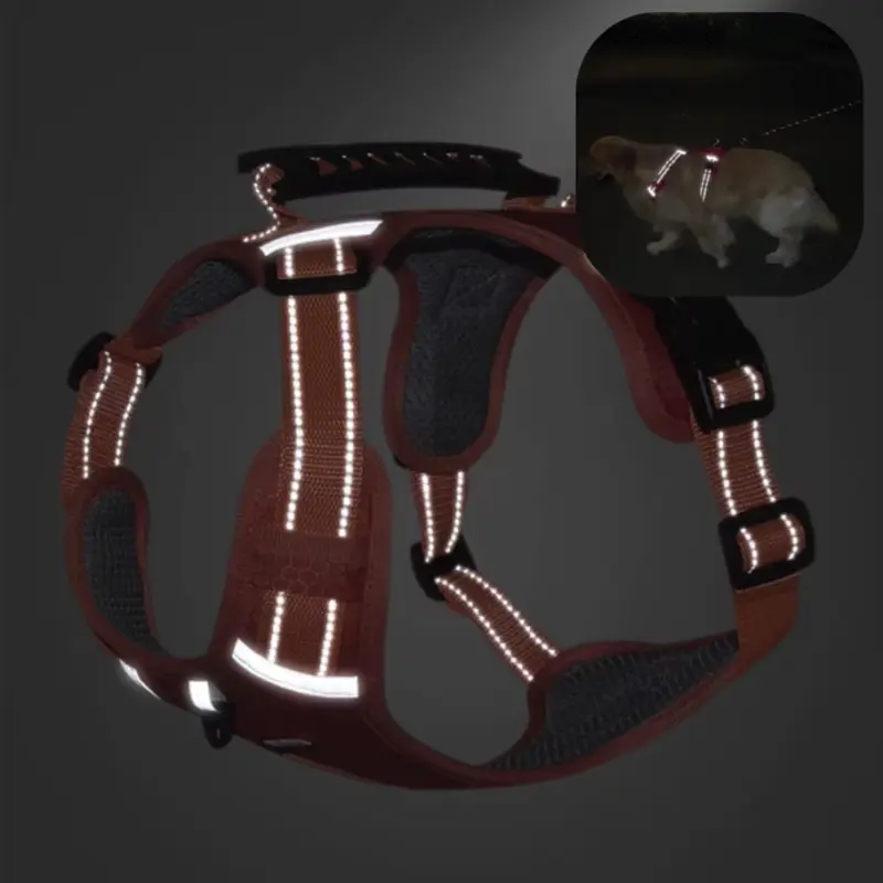 Przed: zwykła obroża – pies ciągnie i odczuwa dyskomfort